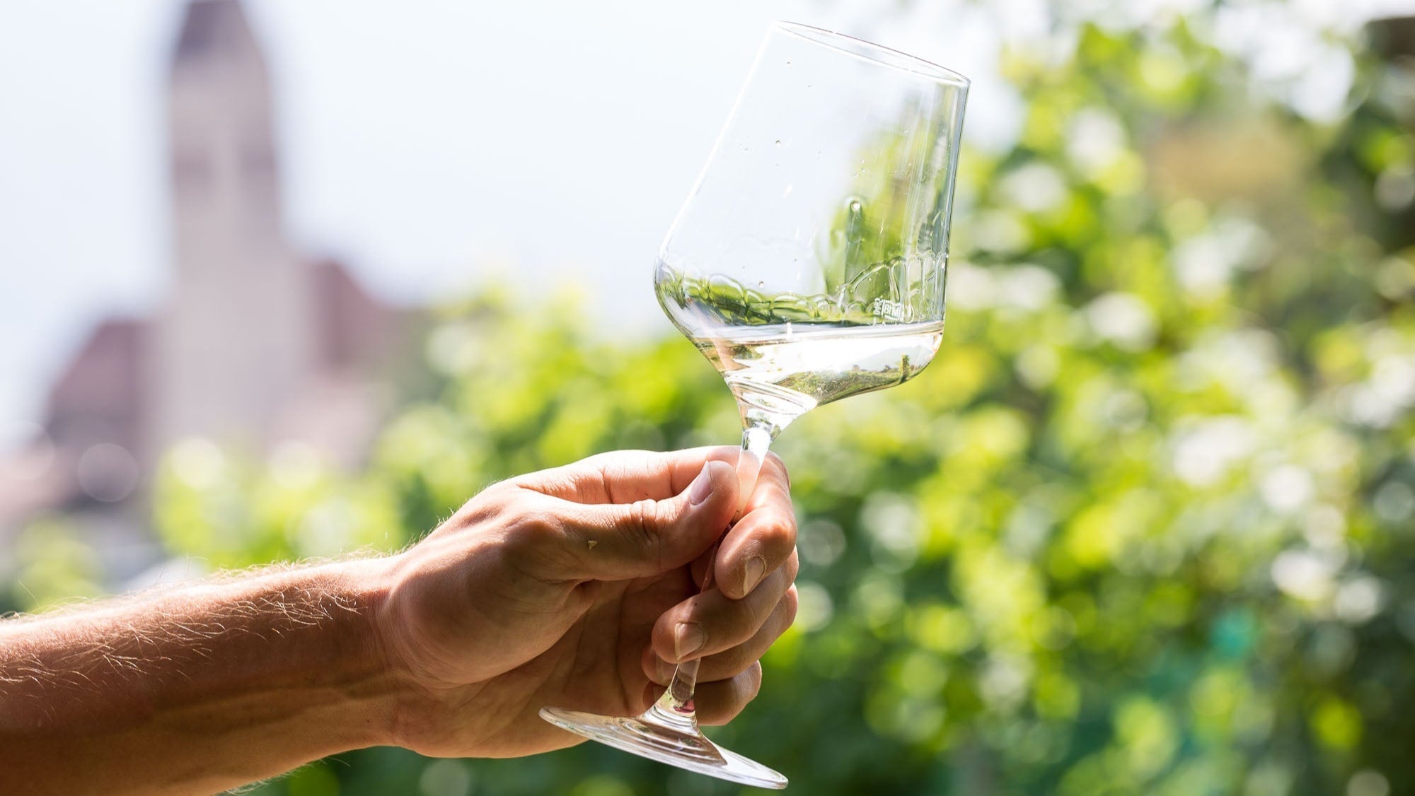 Lage Rosarium - Weingut Eichenstein